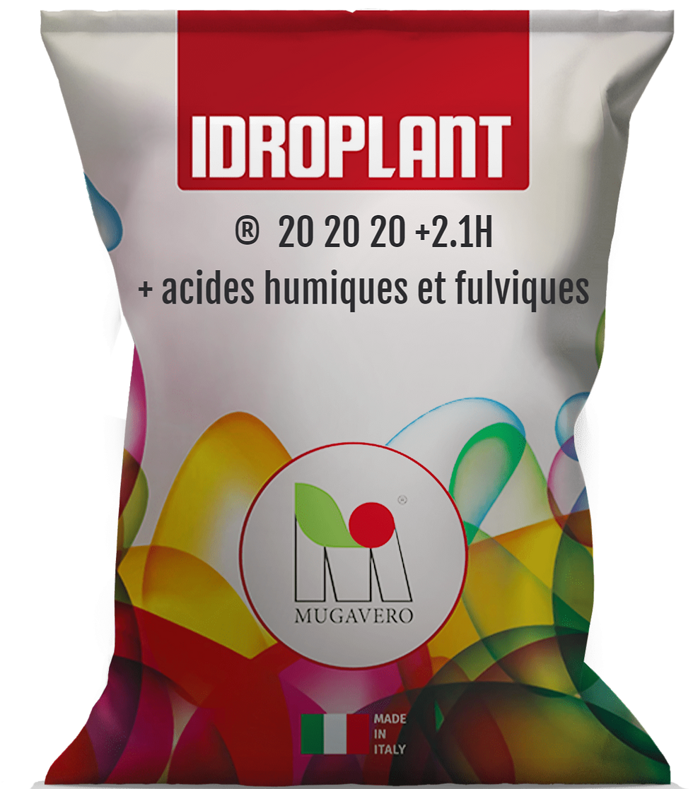 Idroplant 20.20.20+TE 2.1H