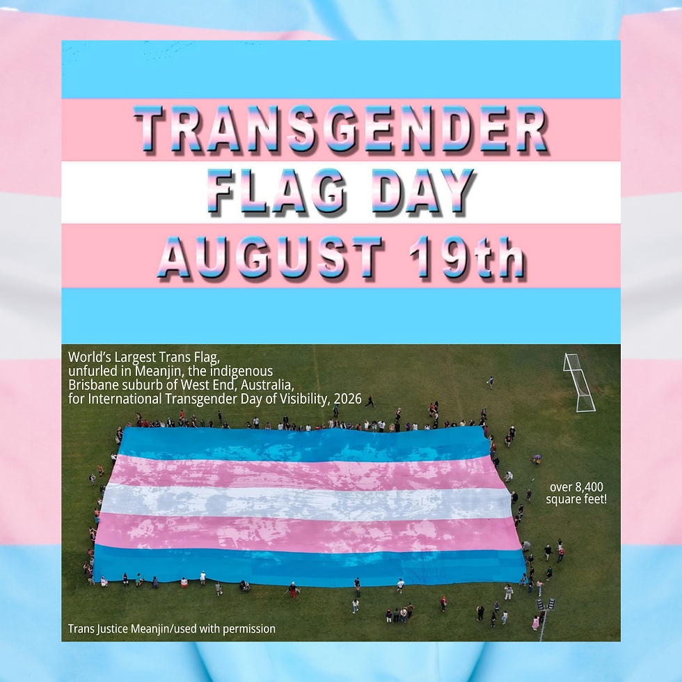 Transgender Flag Day