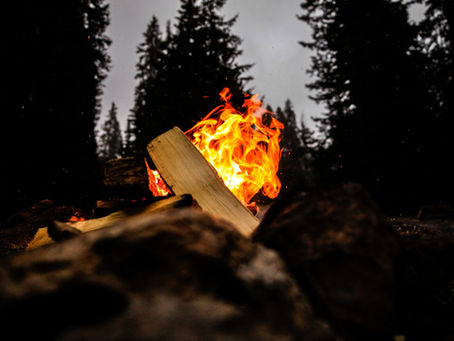 Business is Burning.