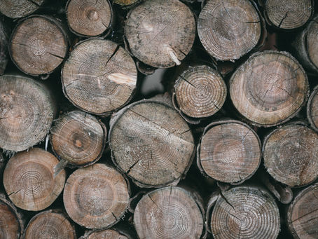 Our Forests in Crisis...