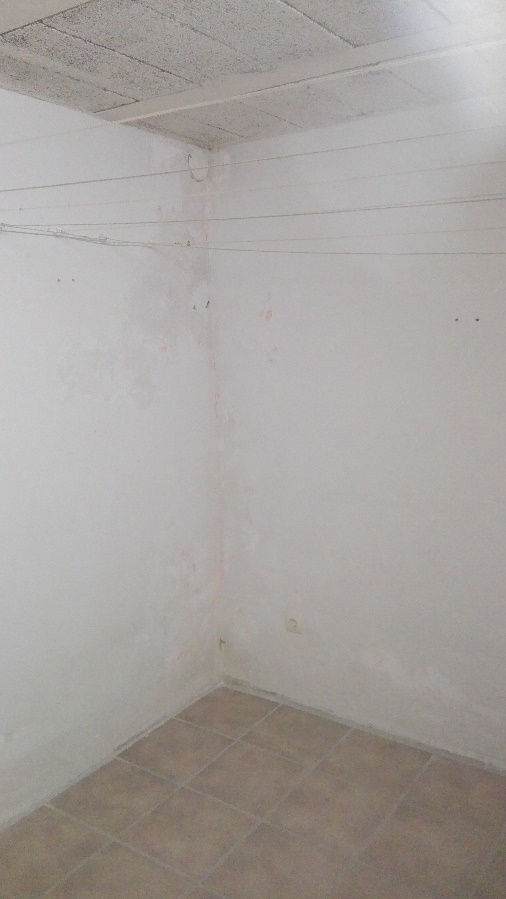 kellerwand-ecke-schimmel