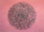 Thumbnail: Meditations (Canvas) 02
