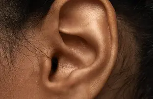 Oreille d'un architecte d'intérieur à l'écoute