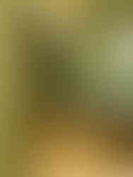 Bureau vert wasabi Couleur de l'année 2026 tendance décoration d'intérieur