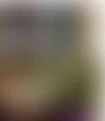 Couleur de l'année 2026 canapé Vert Wasabi blue baby et violet salon coloré tendance déco