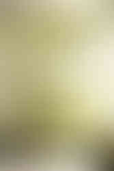 Architecte d'intérieur couleur tendance moulures et encadrement 2026