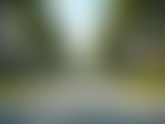 Why Your Jacksonville Real Estate Website Deserves a First Page Ranking