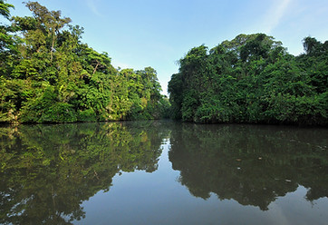 Canales tortuguero.jpg