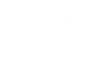 escolhidos_para_a_missão