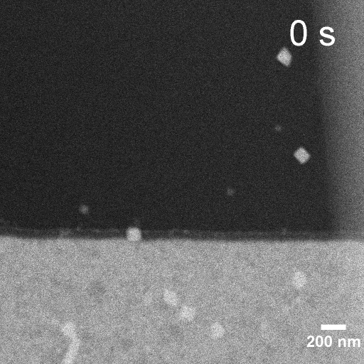 Movie S5 Cu dep. at -0.3V_gif.gif