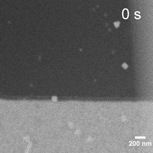 Movie S3 Cu dep. at -0.2V_gif.gif