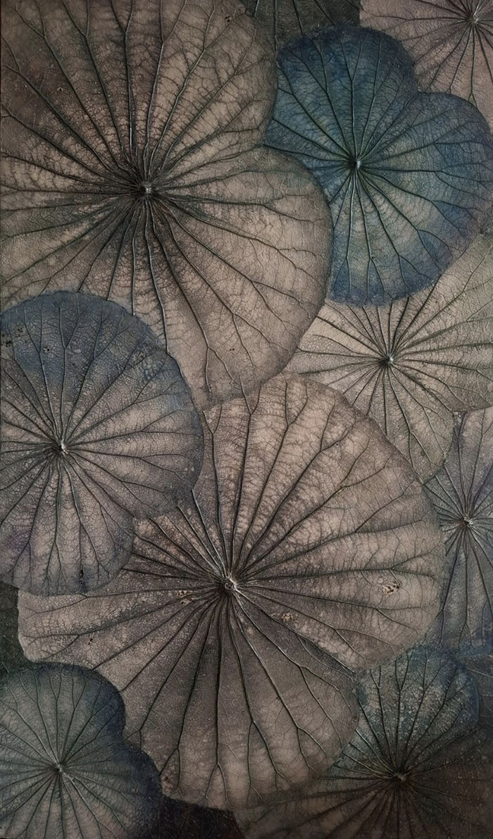 Screenshot_20250501_154148_WhatsApp