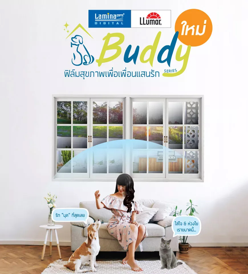 Lamina Buddy Series ฟิล์มรักสัตว์เลี้ยง