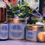Miniature : Collection parfumée pour la maison Viviane la fée, inspirée par les légendes arthuriennes