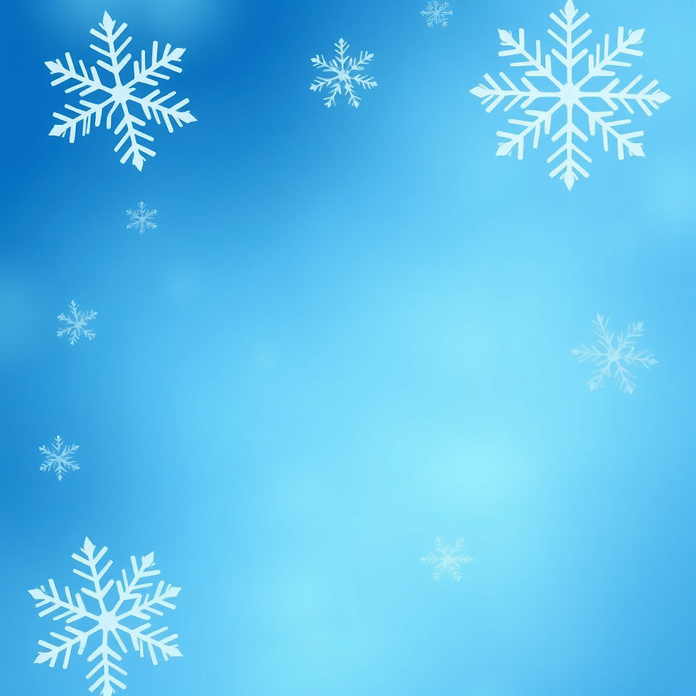 Last-Minute Holiday Flash Deal