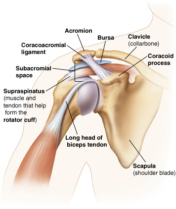Rugby Injuries: Shoulder impingement syndrome