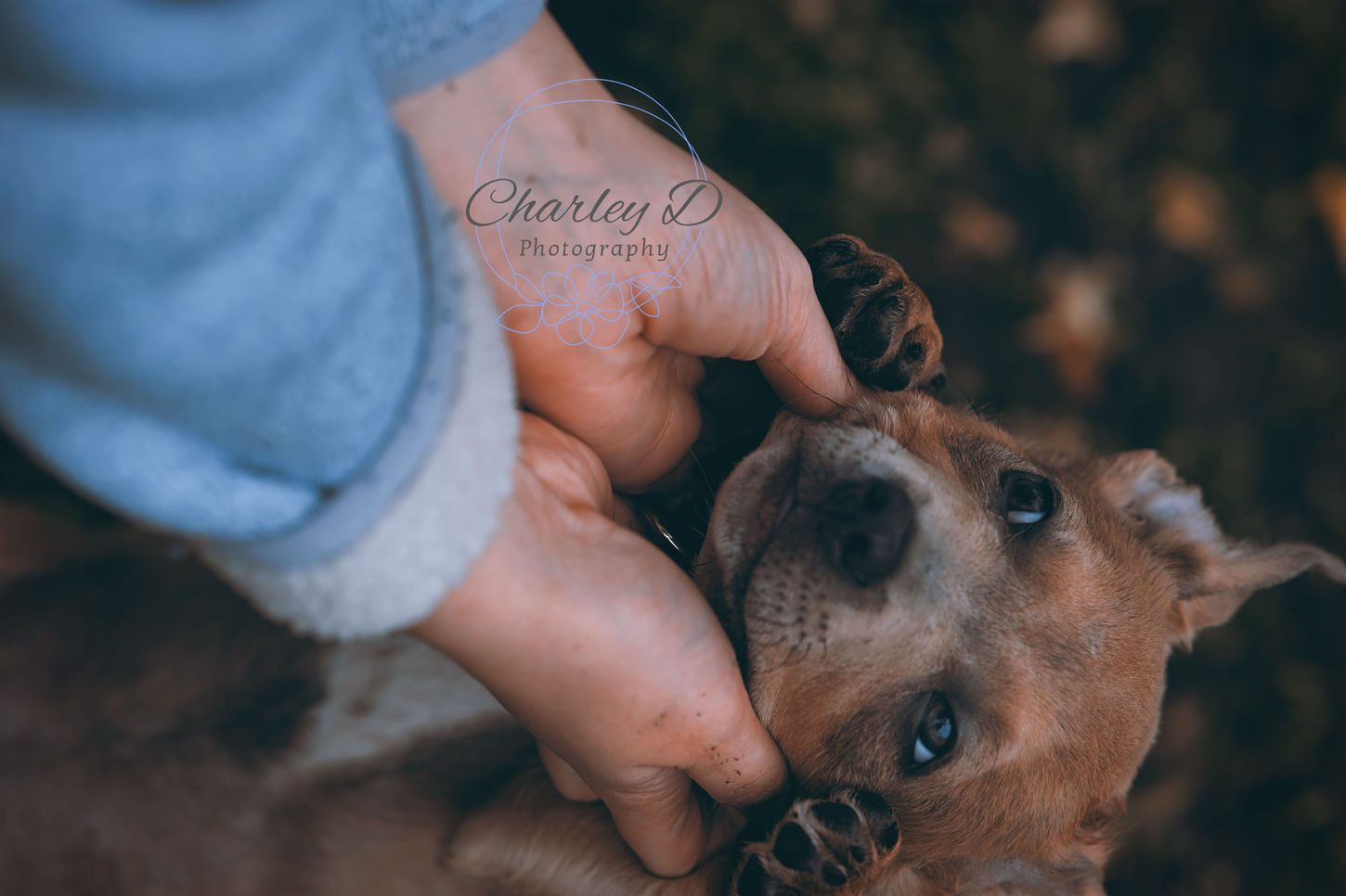 IMG_7932[1].JPG