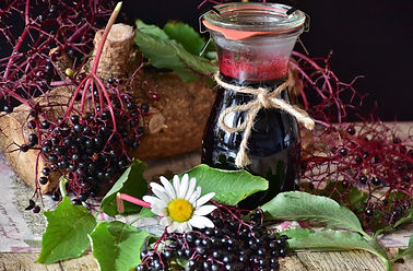 Elderberry