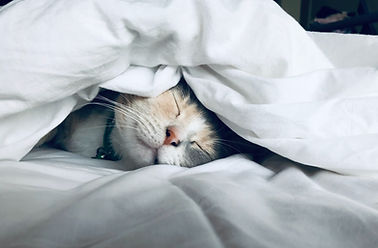 Melatonin
