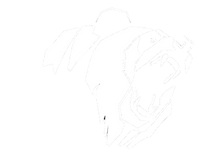 army logo.png