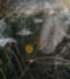 Photo: visualhunt.com