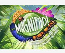 Magnified.jpg
