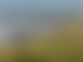 An uplifting news item