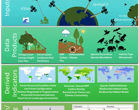 Monitoring Ecological Integrity to reach global conservation goals