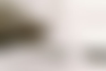 Dog looking for his tribe online.