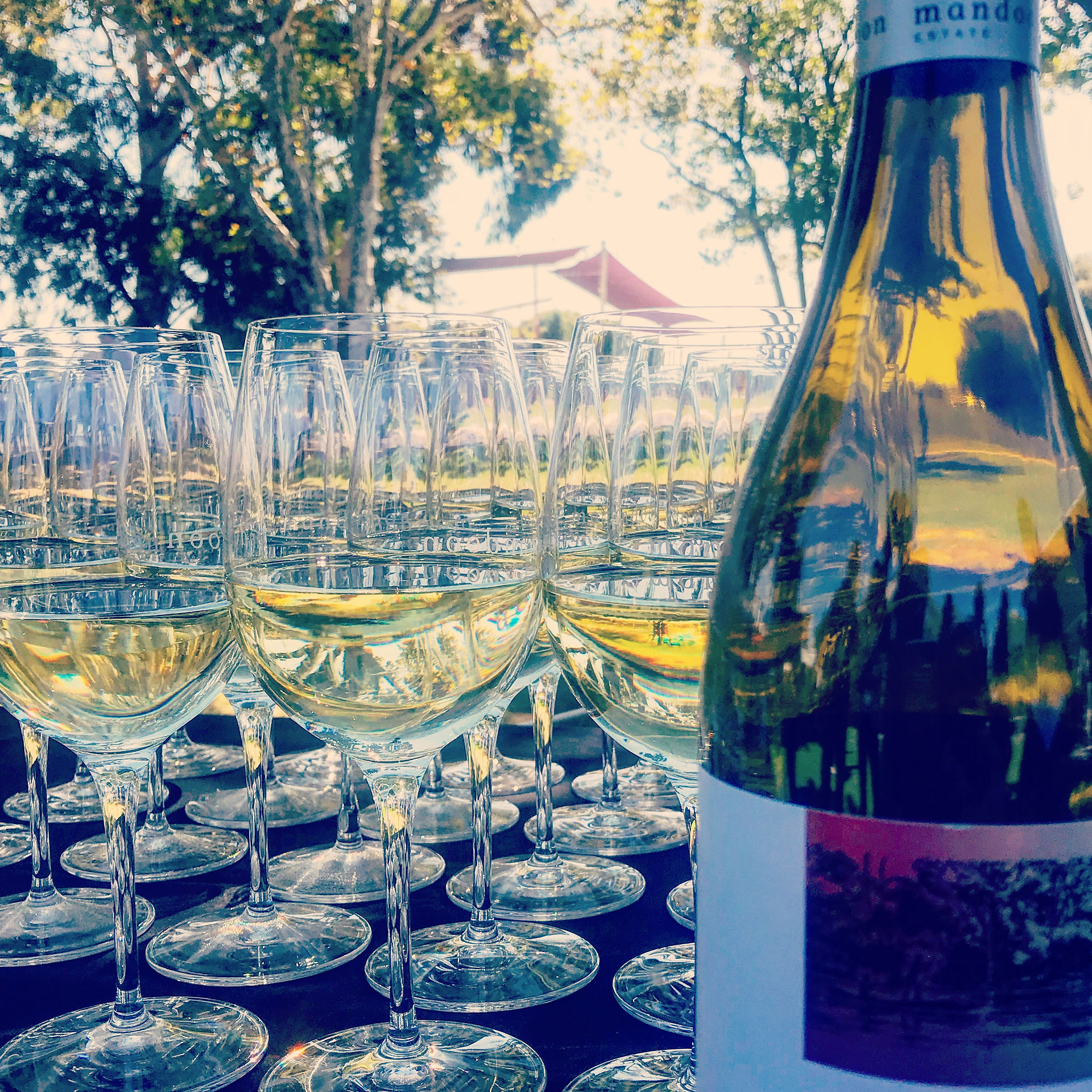 Lots of amazing wine