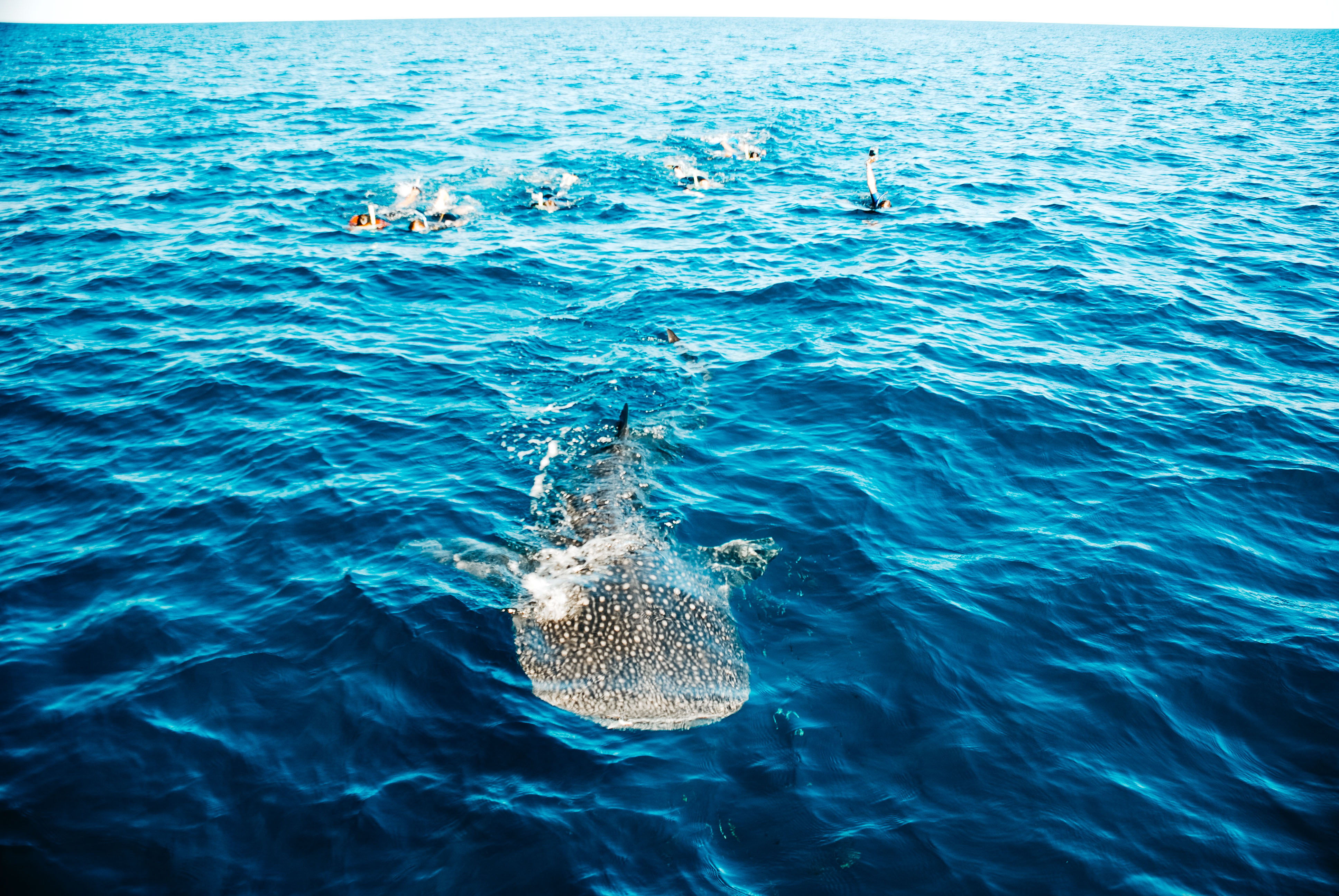 About Us Coral Bay Ecotours Ningaloo Reef Australia