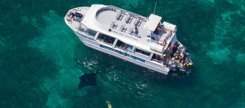 swimming with Manta rays in Coral Bay