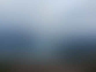 海