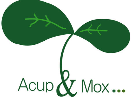 親知らずを抜いた後の麻痺どれくらいで治る?