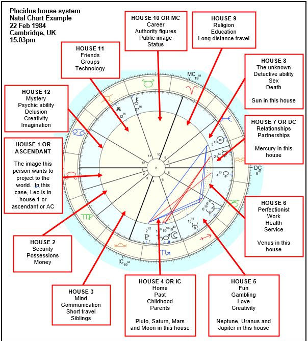 natal chart, planets, degrees, astrology, houses