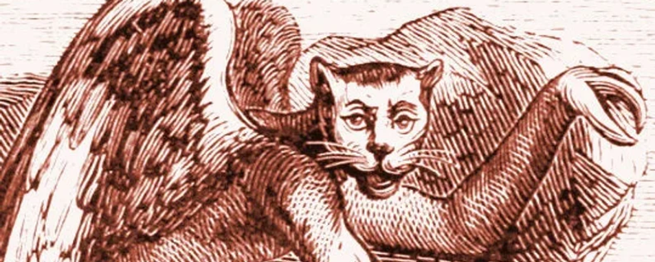 Most Powerful Love Magnetism ritual For The Fastest Attraction With Sitri