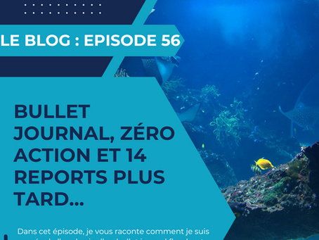 Bullet journal, zéro action et 14 reports plus tard…