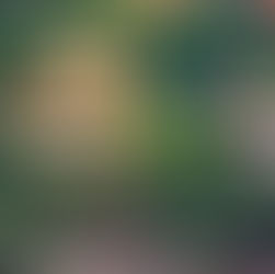 Villa Encantada Vill aBahia StayPV.com