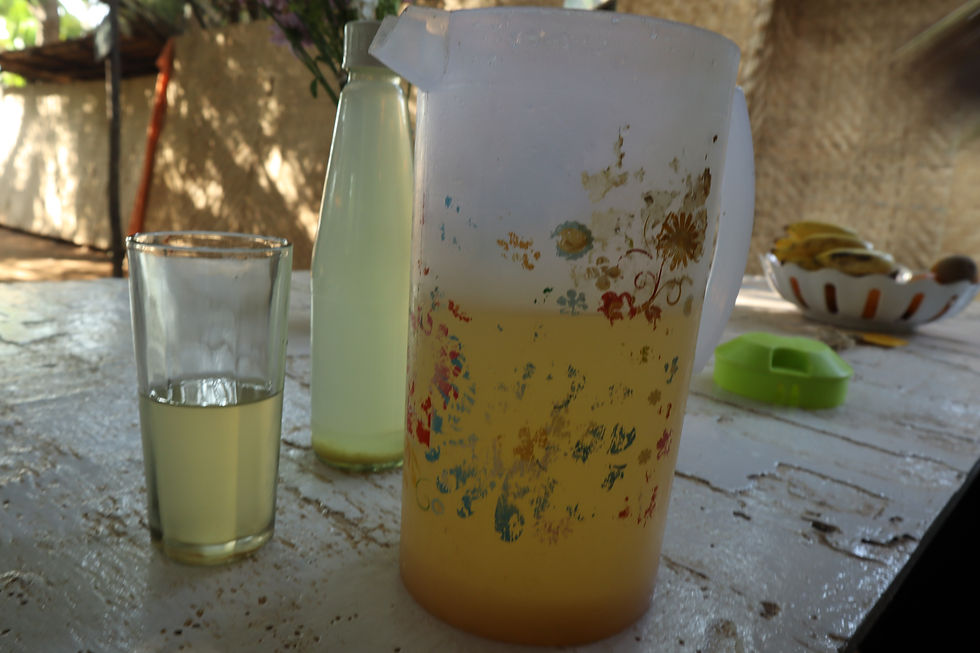 Fasting with lemon juice, sophie prana fasting
