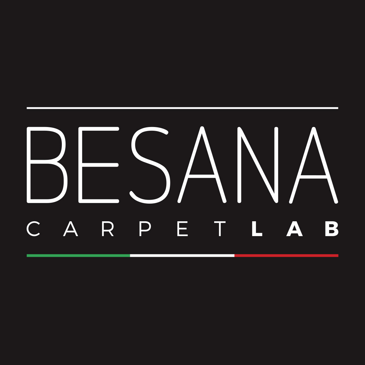 besana logo.gif