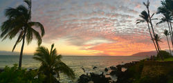 Charley Young Sunset 1