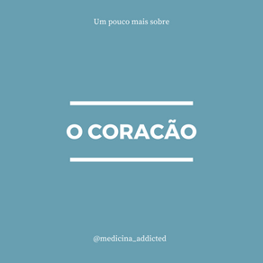 Um pouquinho sobre o coração ❤️