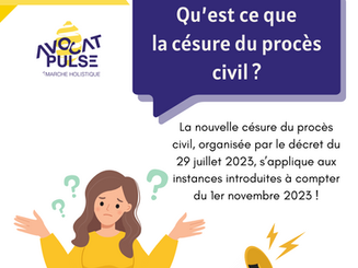La Césure du procès civil