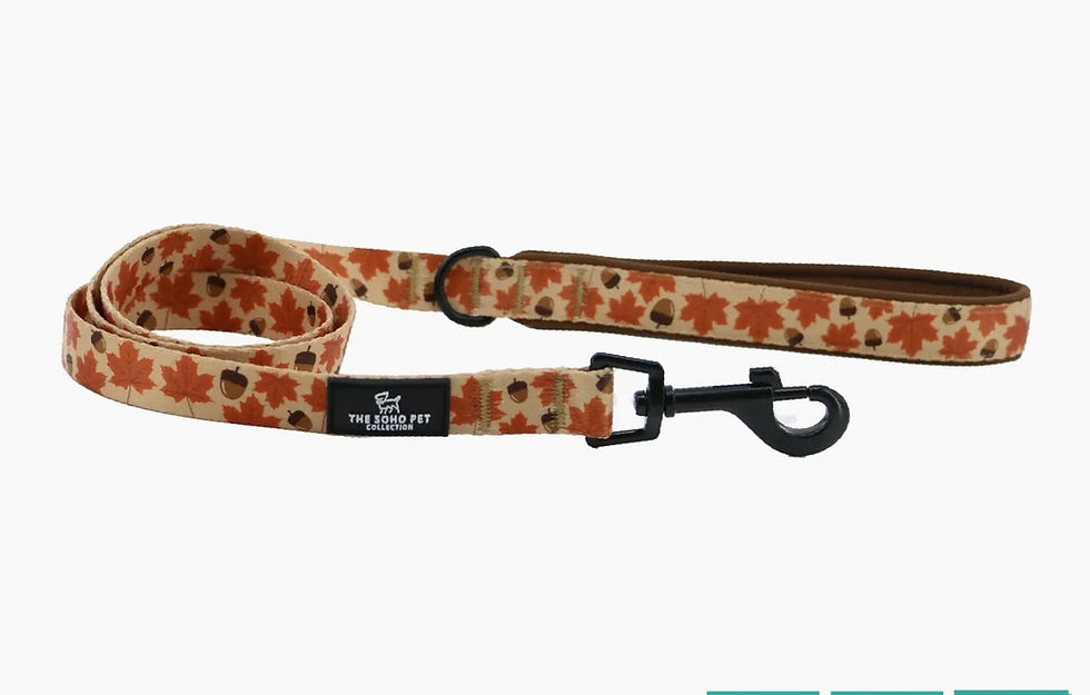 Ancol The Soho Collection Maple Leaf Patterned Lead 100 X 1.9cm