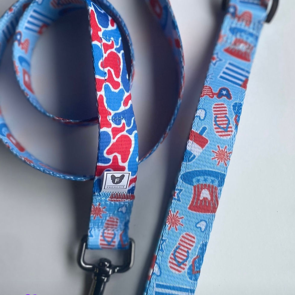 Thumbnail: Frenchie Patterned Lead 