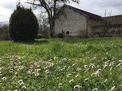 grange paquerettes