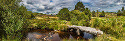 15092-france-Correze-Tourbiere-et-landes-du-Pont-la-Pierre-Tarnac-plateau-des-Millevaches-panorama-s