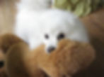 My Mommy's favourite picture of me