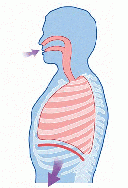 gifs-de-respiracao-7.gif