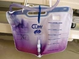 My, What a Colorful Bag You Have
